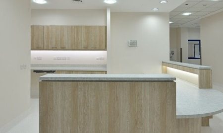 Latifa Hospital NICU Extension - Photo 8